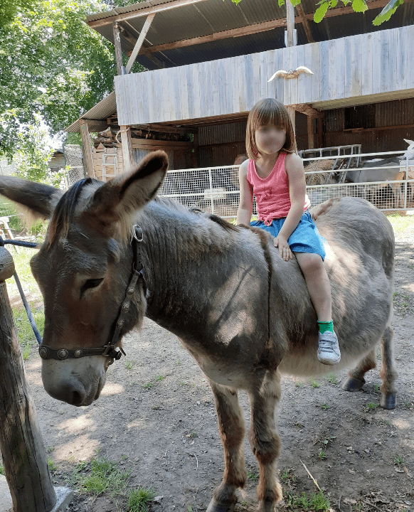 Fillette sur le dos d'un âne à l'Âne Archie du Berry